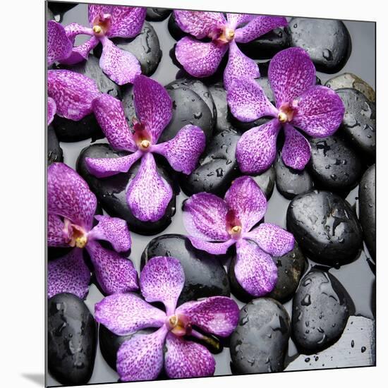 Zen Pebbles-null-Mounted Photographic Print