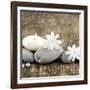 Zen Pebbles-null-Framed Photographic Print