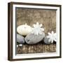 Zen Pebbles-null-Framed Photographic Print