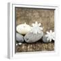 Zen Pebbles-null-Framed Photographic Print