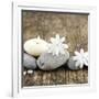 Zen Pebbles-null-Framed Photographic Print