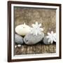 Zen Pebbles-null-Framed Photographic Print