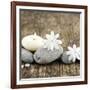 Zen Pebbles-null-Framed Photographic Print