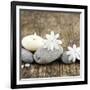 Zen Pebbles-null-Framed Photographic Print