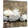 Zen Pebbles-null-Mounted Photographic Print