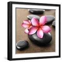 Zen Pebbles-null-Framed Photographic Print