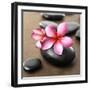 Zen Pebbles-null-Framed Photographic Print