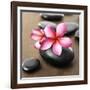 Zen Pebbles-null-Framed Photographic Print