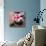 Zen Pebbles-null-Mounted Photographic Print displayed on a wall