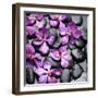 Zen Pebbles-PhotoINC Studio-Framed Art Print