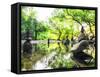 Zen Pond in Forest. Photography of Stone Towers, Peace and Calm Concept-Banana Republic images-Framed Stretched Canvas