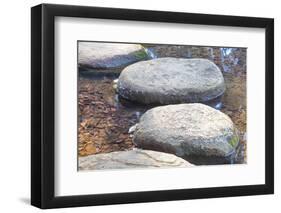 Zen Stone Path in a Japanese Garden-Torsakarin-Framed Photographic Print