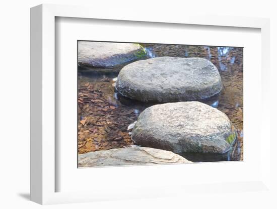 Zen Stone Path in a Japanese Garden-Torsakarin-Framed Photographic Print