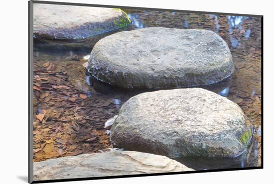 Zen Stone Path in a Japanese Garden-Torsakarin-Mounted Photographic Print