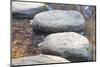 Zen Stone Path in a Japanese Garden-Torsakarin-Mounted Photographic Print