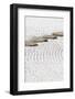 Zen Stone Path in a Japanese Garden-Torsakarin-Framed Photographic Print