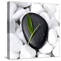 Zen Stone-null-Stretched Canvas