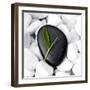 Zen Stone-null-Framed Photographic Print