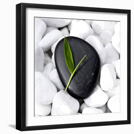 Zen Stone-null-Framed Photographic Print