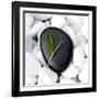 Zen Stone-null-Framed Photographic Print