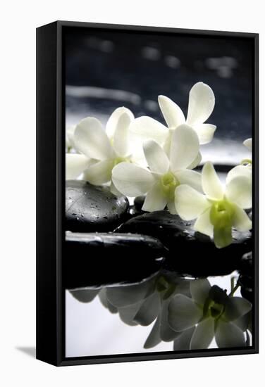 Zen Stones And Branch White Orchids With Reflection-crystalfoto-Framed Stretched Canvas