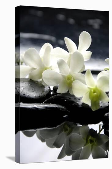 Zen Stones And Branch White Orchids With Reflection-crystalfoto-Stretched Canvas