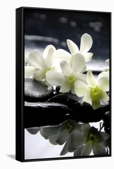 Zen Stones And Branch White Orchids With Reflection-crystalfoto-Framed Stretched Canvas