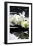 Zen Stones And Branch White Orchids With Reflection-crystalfoto-Framed Premium Photographic Print
