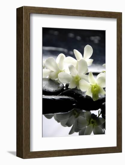 Zen Stones And Branch White Orchids With Reflection-crystalfoto-Framed Premium Photographic Print