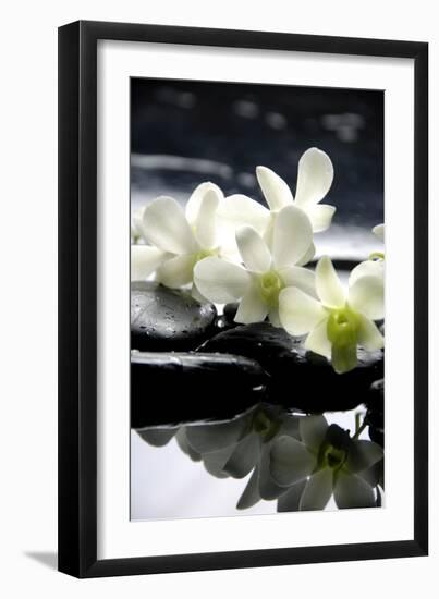 Zen Stones And Branch White Orchids With Reflection-crystalfoto-Framed Photographic Print