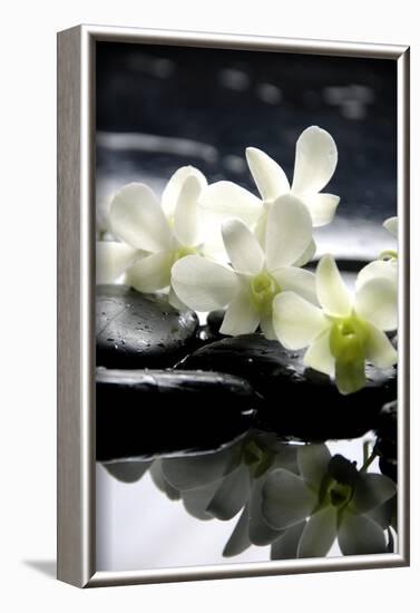 Zen Stones And Branch White Orchids With Reflection-crystalfoto-Framed Photographic Print