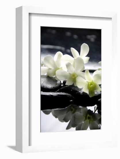 Zen Stones And Branch White Orchids With Reflection-crystalfoto-Framed Photographic Print