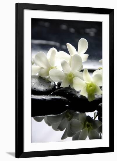 Zen Stones And Branch White Orchids With Reflection-crystalfoto-Framed Photographic Print