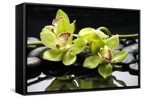 Zen Stones and Green Orchids with Water Drops-crystalfoto-Framed Stretched Canvas