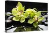 Zen Stones and Green Orchids with Water Drops-crystalfoto-Stretched Canvas