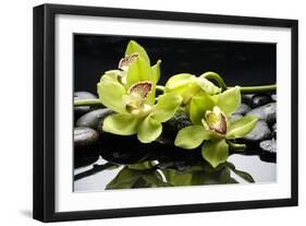 Zen Stones and Green Orchids with Water Drops-crystalfoto-Framed Photographic Print