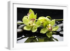 Zen Stones and Green Orchids with Water Drops-crystalfoto-Framed Photographic Print