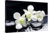 Zen Stones and Tiger's Orchids with Water Drops-crystalfoto-Stretched Canvas