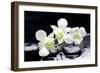 Zen Stones and Tiger's Orchids with Water Drops-crystalfoto-Framed Photographic Print