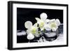 Zen Stones and Tiger's Orchids with Water Drops-crystalfoto-Framed Photographic Print