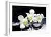 Zen Stones and Tiger's Orchids with Water Drops-crystalfoto-Framed Photographic Print