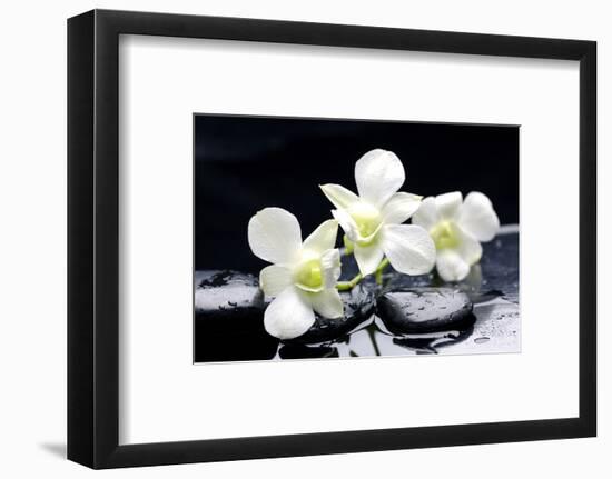 Zen Stones and Tiger's Orchids with Water Drops-crystalfoto-Framed Photographic Print