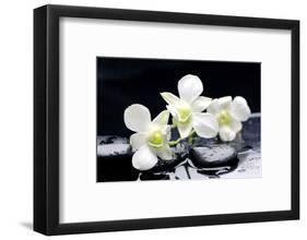 Zen Stones and Tiger's Orchids with Water Drops-crystalfoto-Framed Photographic Print