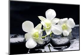 Zen Stones and Tiger's Orchids with Water Drops-crystalfoto-Mounted Photographic Print