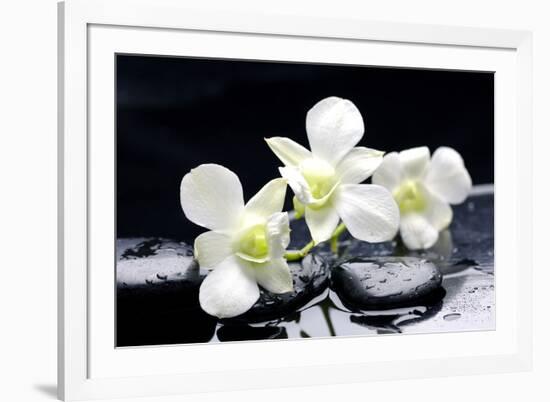 Zen Stones and Tiger's Orchids with Water Drops-crystalfoto-Framed Photographic Print