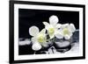 Zen Stones and Tiger's Orchids with Water Drops-crystalfoto-Framed Photographic Print