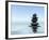 Zen Stones In Water-f9photos-Framed Photographic Print