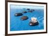 Zen Stones in Water-witold krasowski-Framed Photographic Print