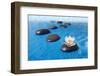 Zen Stones in Water-witold krasowski-Framed Photographic Print