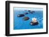 Zen Stones in Water-witold krasowski-Framed Photographic Print